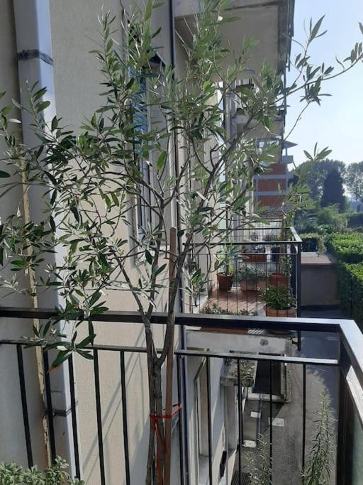 Mice Ottima Soluzione Per Il Centro E La Svizzera Lejlighed Como Eksteriør billede
